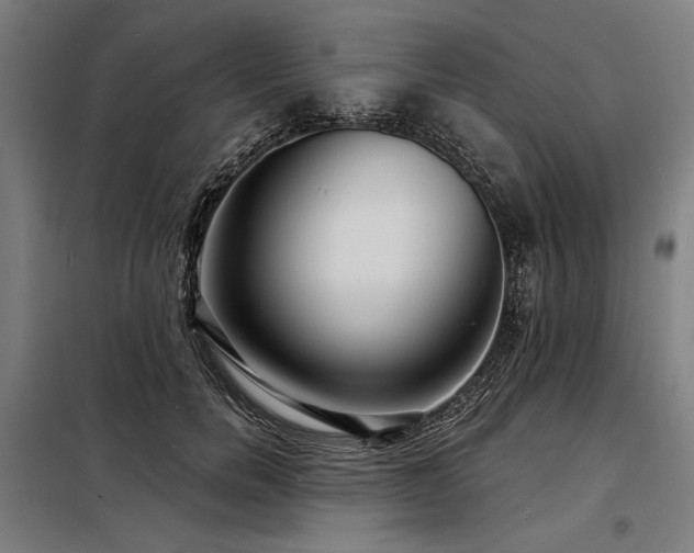 X0000098170750200804241155