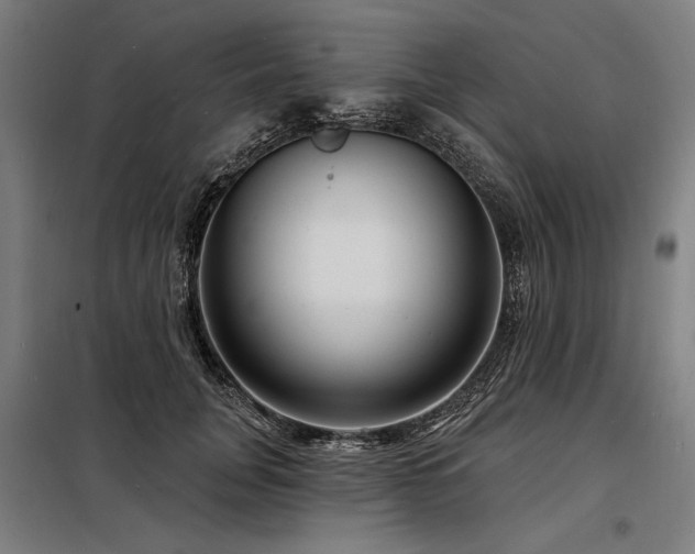 X0000098170751200804241155