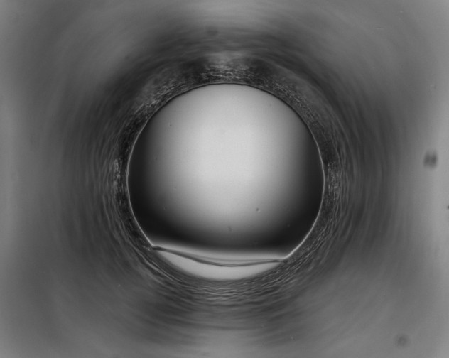 X0000098170752200804241155