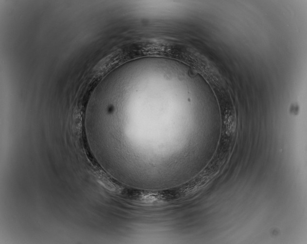 X0000098170753200804241155