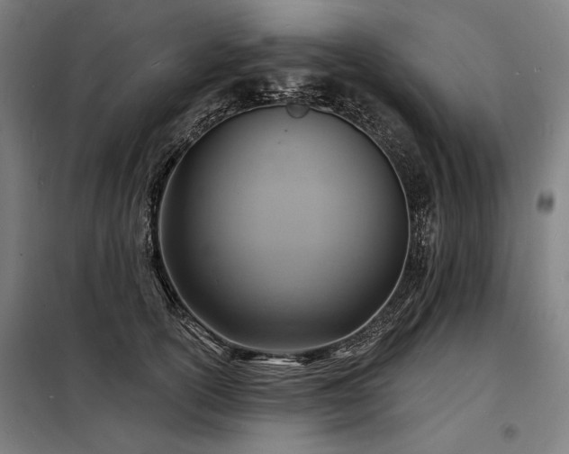 X0000098170754200804241155