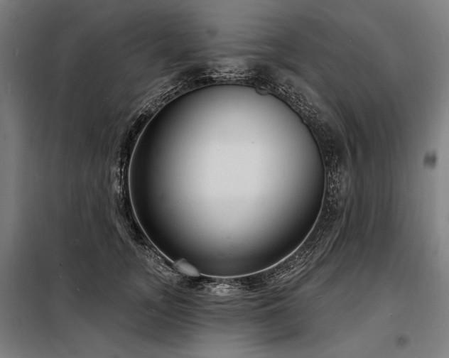 X0000098170755200804241155