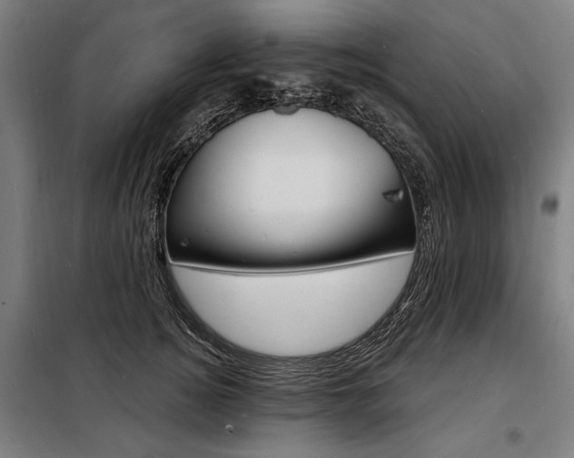 X0000098170756200804241155