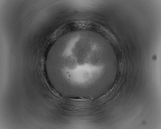 X0000098170757200804241155