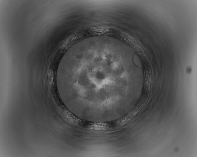 X0000098170758200804241155