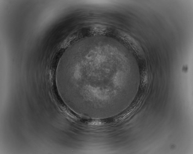 X0000098170759200804241155