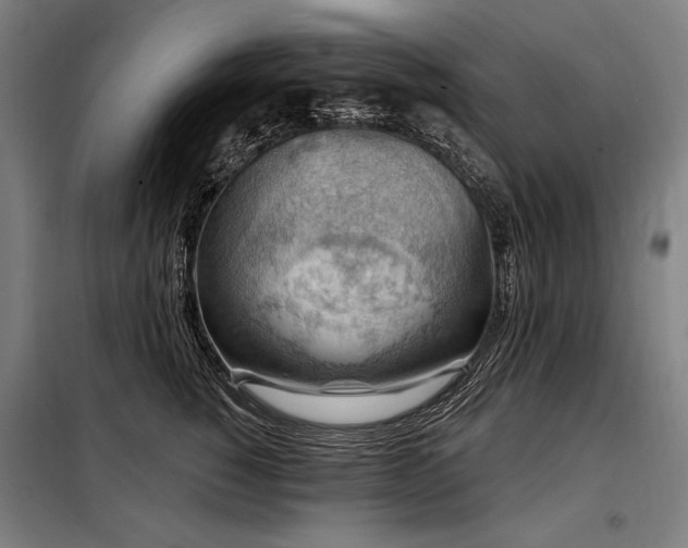 X0000098170760200804241155