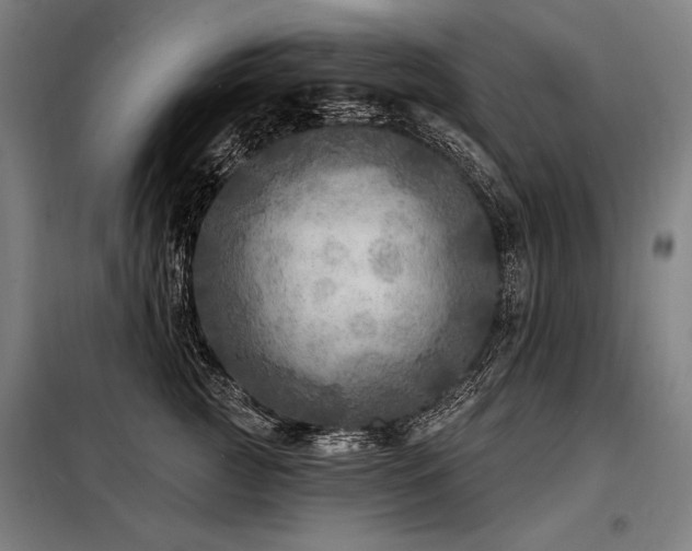 X0000098170761200804241155