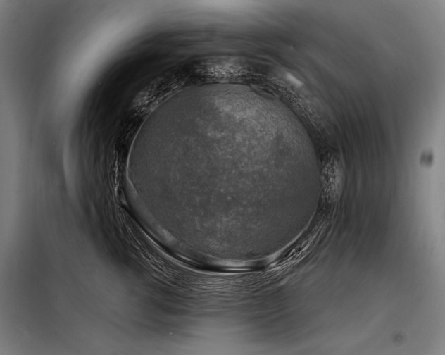 X0000098170762200804241155