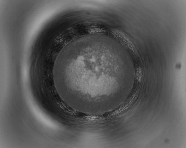 X0000098170763200804241155