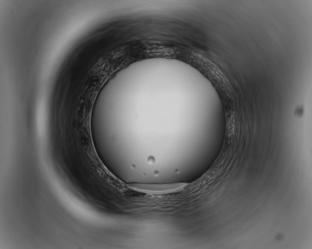 X0000098170764200804241155