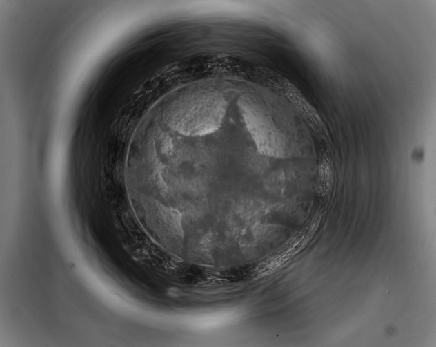 X0000098170765200804241155