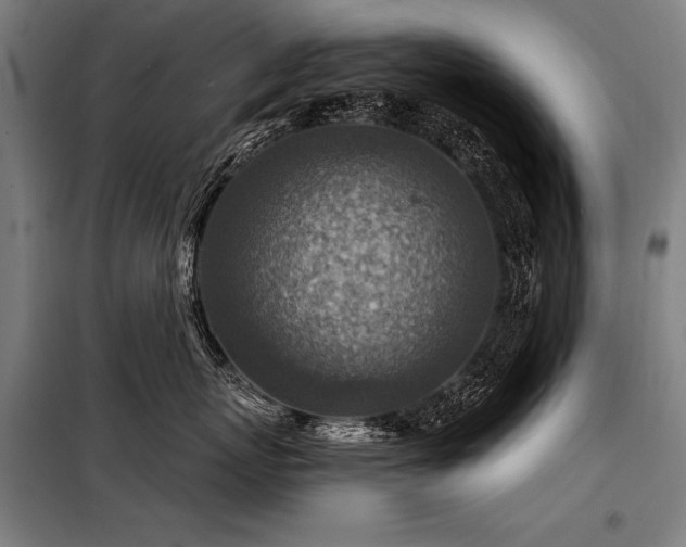 X0000098170767200804241155