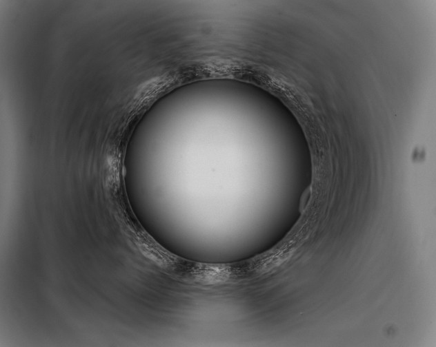 X0000098170768200804241155