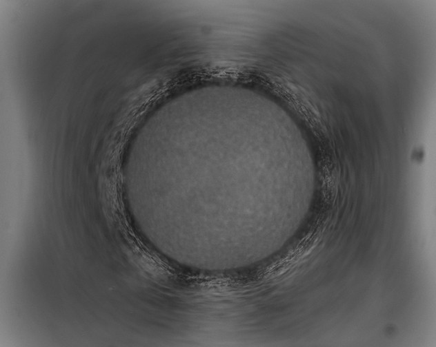 X0000098170769200804241155