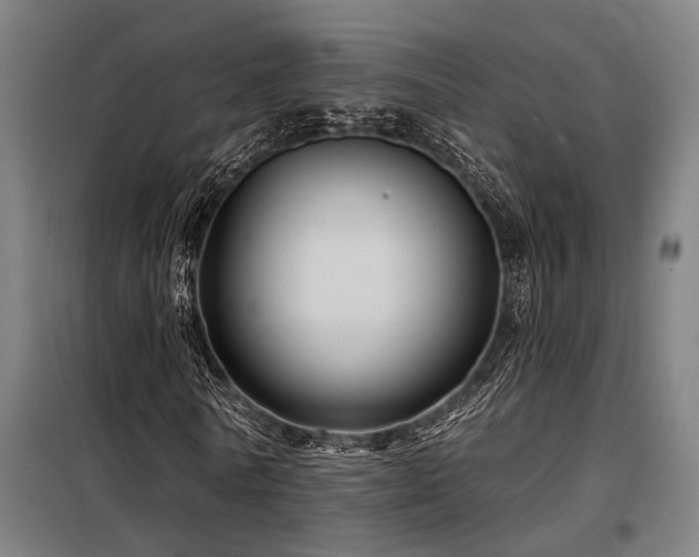 X0000098170770200804241155