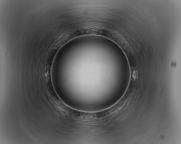 X0000098170771200804241155