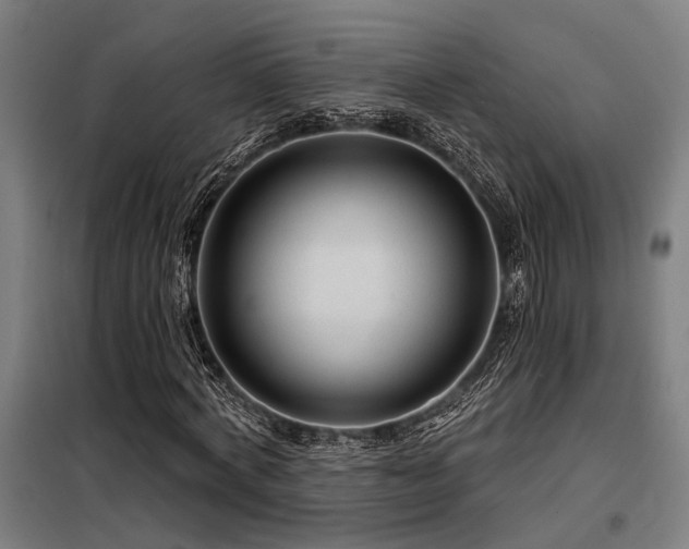 X0000098170772200804241155