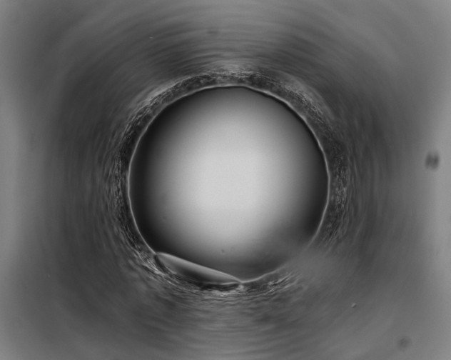 X0000098170773200804241155