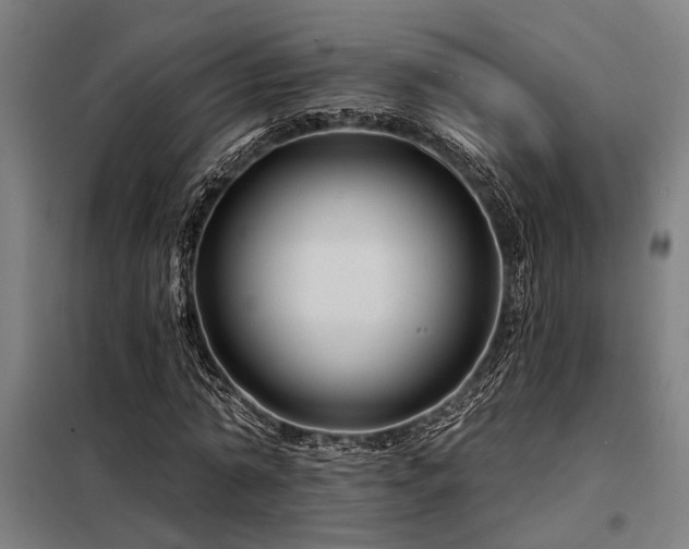 X0000098170774200804241155