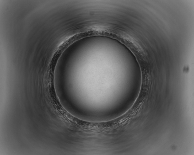 X0000098170776200804241155