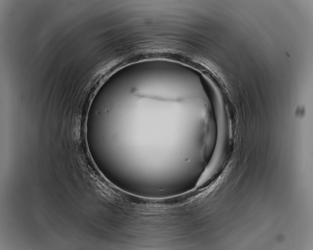 X0000098170777200804241155