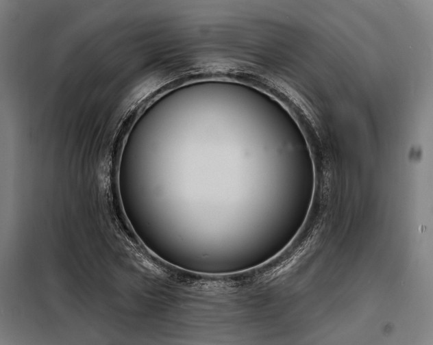 X0000098170778200804241155