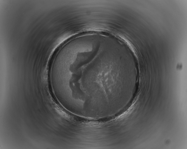 X0000098170779200804241155