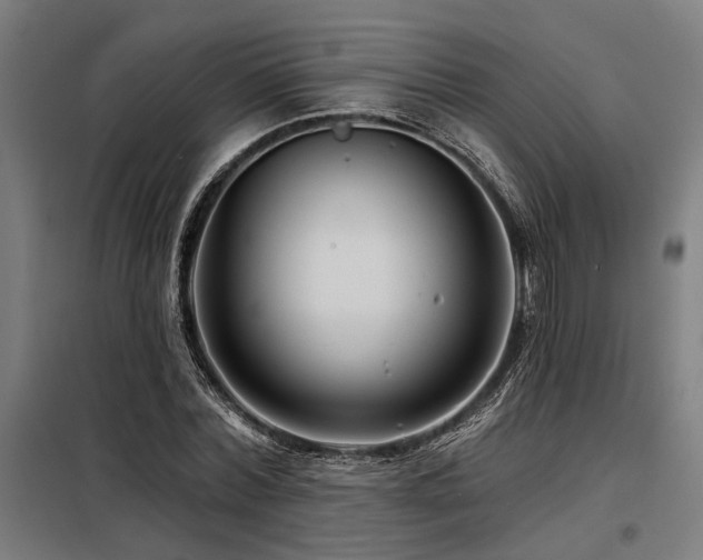 X0000098170780200804241155