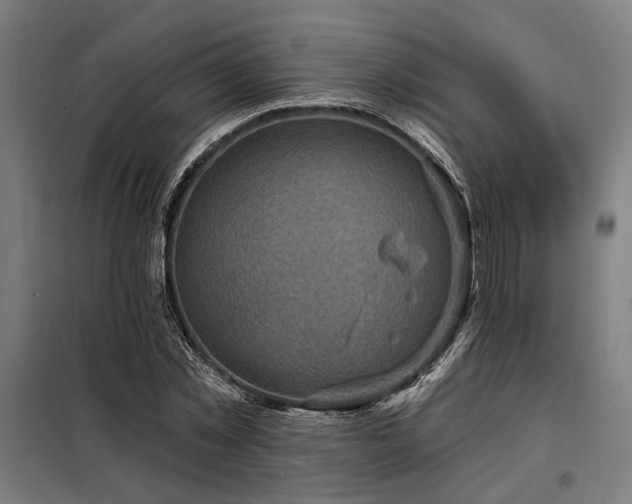 X0000098170781200804241155