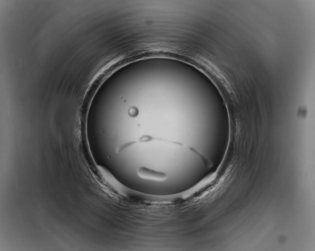 X0000098170782200804241155