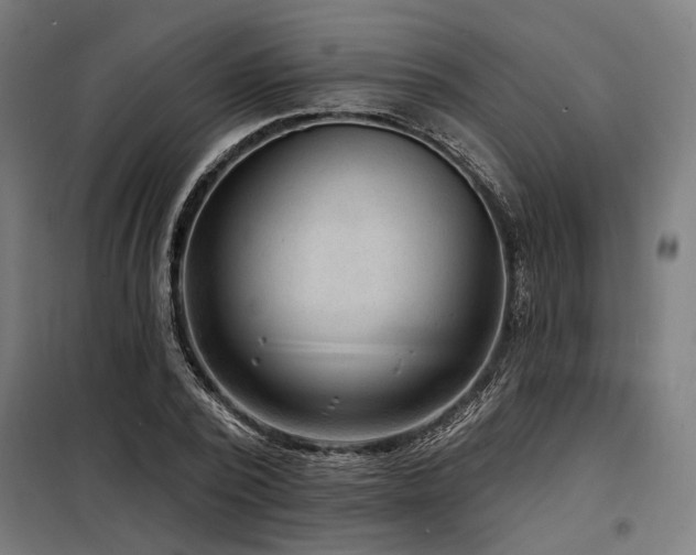 X0000098170784200804241155