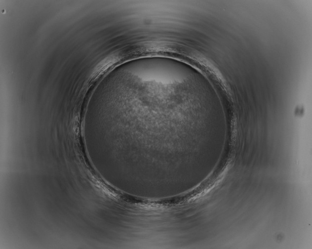 X0000098170785200804241155