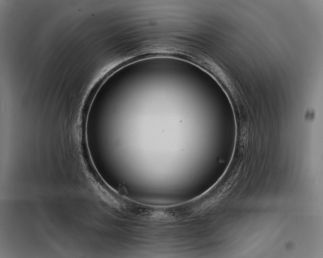 X0000098170787200804241155