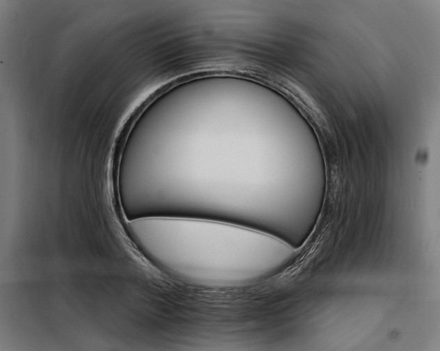 X0000098170788200804241155