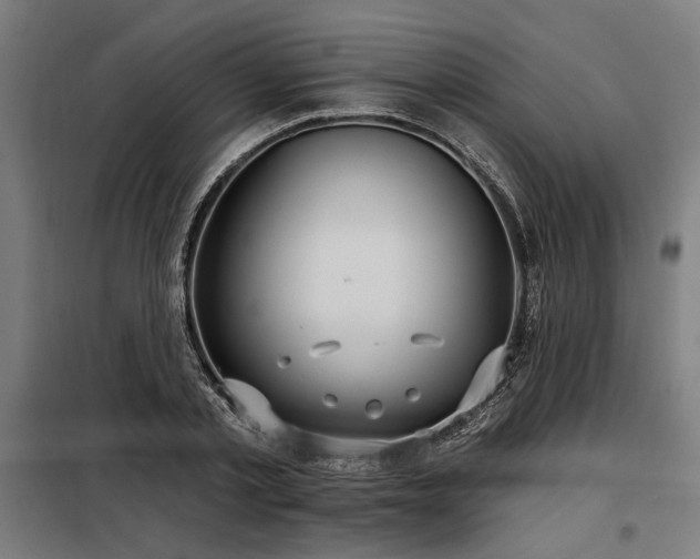 X0000098170789200804241155