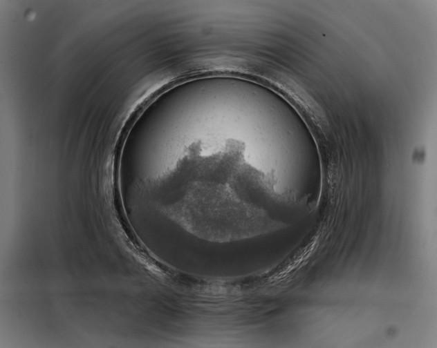 X0000098170790200804241154