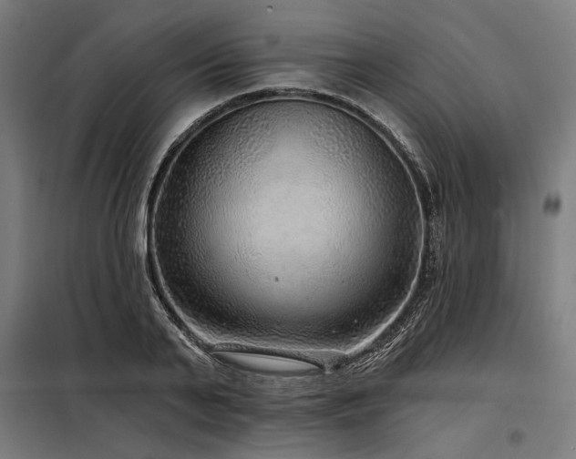 X0000098170791200804241154