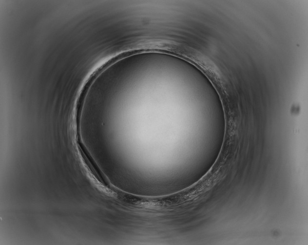 X0000098170792200804241154