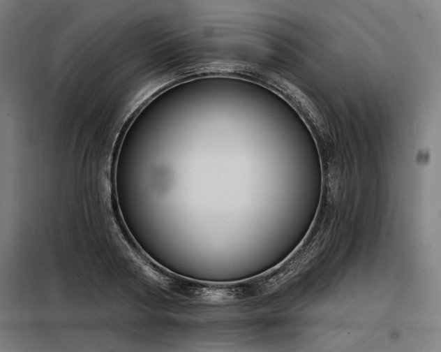 X0000098170794200804241154