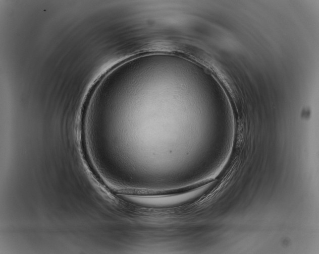 X0000098170795200804241154