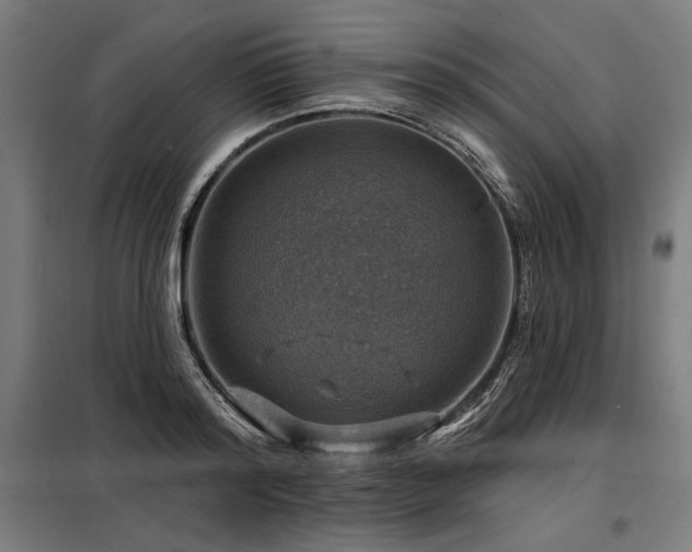 X0000098170796200804241154