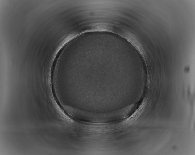 X0000098170797200804241154