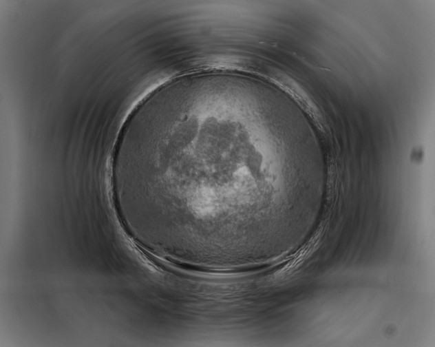 X0000098170798200804241154