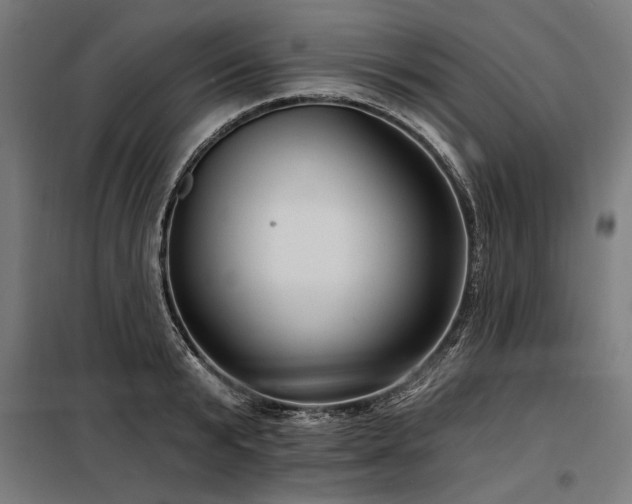 X0000098170799200804241154