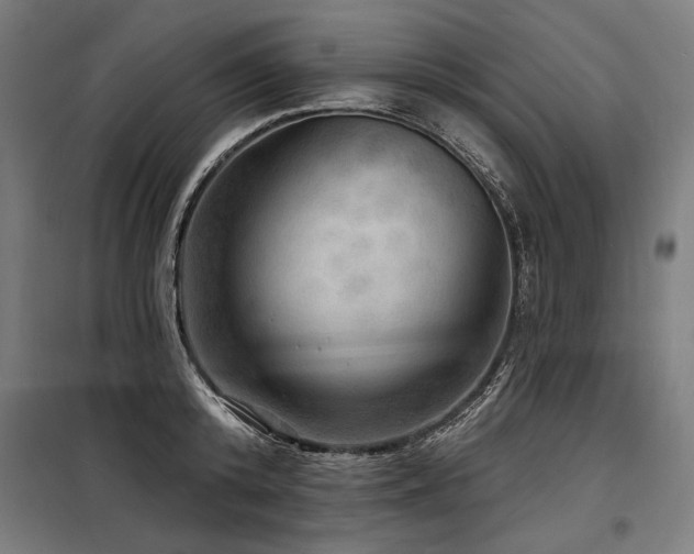 X0000098170800200804241154