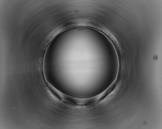 X0000098170801200804241154