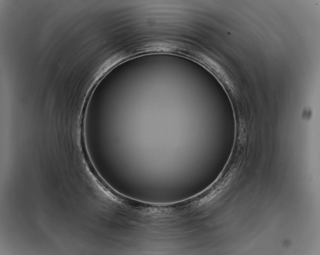 X0000098170802200804241154