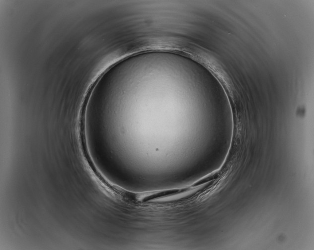 X0000098170803200804241154