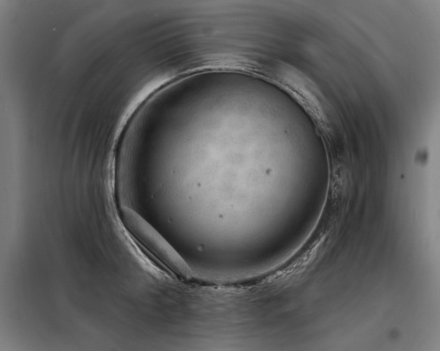 X0000098170804200804241154